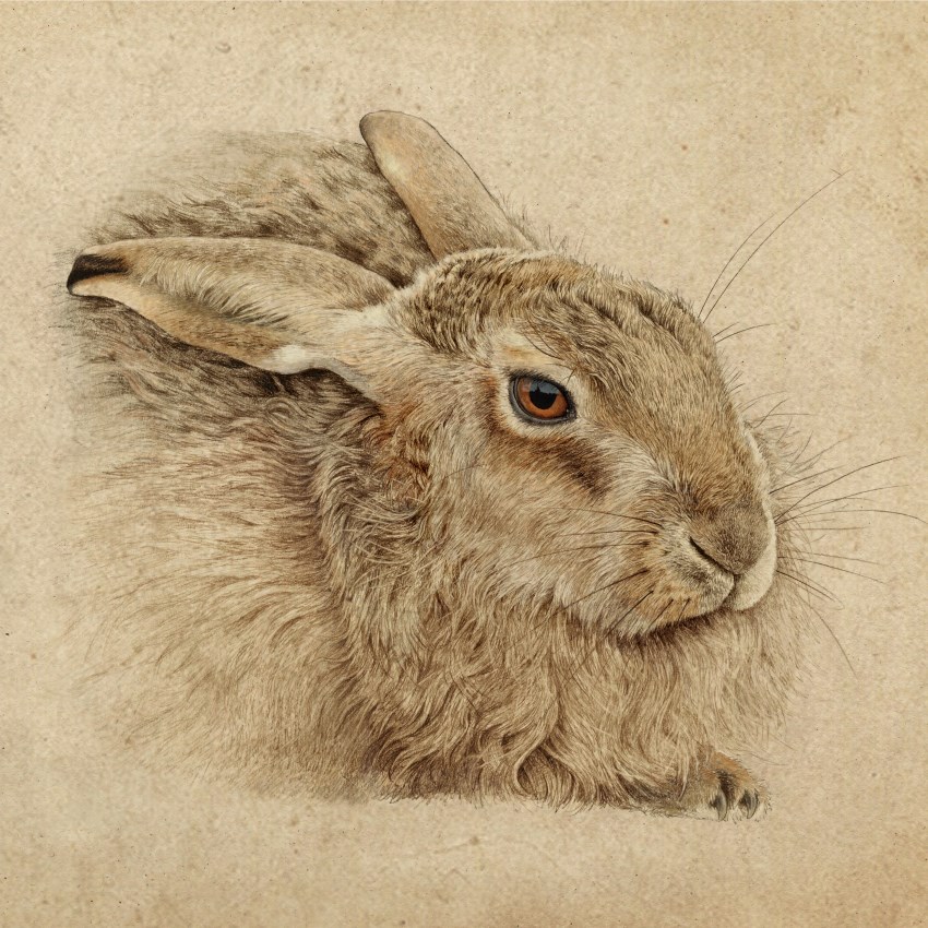 Limited Edition Prints Gallery